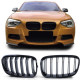 Body kit și tuning vizual RACES grilă (Sport Double Bar) pentru BMW 1 Series F20 F21 10-14, lucios | race-shop.ro