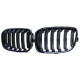 Body kit și tuning vizual RACES grilă (Sport Double Bar) pentru BMW 1 Series F20 F21 10-14, lucios | race-shop.ro