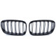 Body kit și tuning vizual RACES grilă (Sport Double Bar) pentru BMW 1 Series F20 F21 10-14, lucios | race-shop.ro