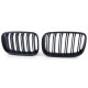 Body kit și tuning vizual Grilă radiator sport mat pentru BMW X5 E70 X6 E71 | race-shop.ro