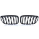 Body kit și tuning vizual Grilă radiator sport mat pentru BMW X5 E70 X6 E71 | race-shop.ro