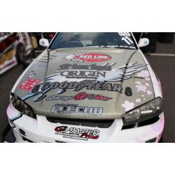 Origin Labo "Type 2" Bonnet pentru Nissan Skyline R34