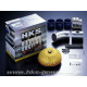 Admisie sport HKS Admisie aer sport HKS Racing pentru Nissan Skyline R33 GT-R | race-shop.ro