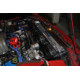 Ford Suport ventilator radiator sport MISHIMOTO - Set - 79-93 Ford Mustang | race-shop.ro