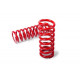 MTS Technik komplet Arcuri sport MTS Technik pentru Fiat Seicento 1998 -, 40 mm / 40 mm | race-shop.ro