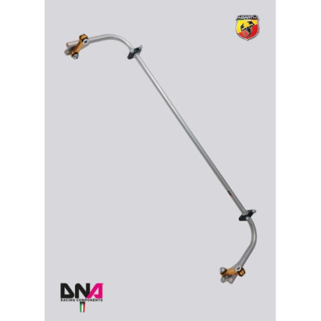 Whiteline Kit de bare de torsiune reglabile spate DNA RACING pentru FIAT 500 EU - ABARTH INCL. (2007 -) | race-shop.ro