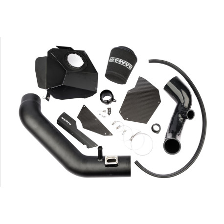 F20 F21 Admisie de aer performantă RAMAIR pentru BMW M135i (F20/F21) 3.0T N55 2011-2023 | race-shop.ro