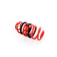 MTS Technik komplet MTS Technik arc coilover - GWFE30HA-01 | race-shop.ro