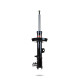 Pedders Pedders 8847L Sealed Strut | race-shop.ro