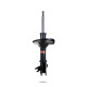 Pedders Pedders 8846L Sealed Strut | race-shop.ro