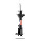 Pedders Pedders 8830L Sealed Strut | race-shop.ro