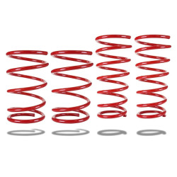 Kit arcuri coborâre Pedders 803290 pentru modele cu 6 cilindri. Subaru Legacy BP
