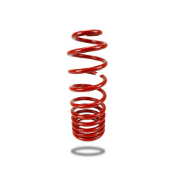Pedders 290165 Trakryder Coil Spring