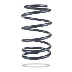 Pedders 202954 Coil Spring