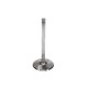 Componente motor Manley SBC Intake Valve Kit 2.020 x 4911 x .3415 | race-shop.ro