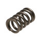 Componente motor Manley Valve Spring MITSUBISHI 4G63/T | race-shop.ro