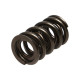 Componente motor Manley Valve Spring 1.640 DOUBLE | race-shop.ro