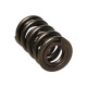 Componente motor Manley Valve Spring 1.640 DOUBLE | race-shop.ro