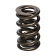 Componente motor Manley Valve Spring 1.640 DOUBLE | race-shop.ro