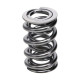 Componente motor Manley Valve Spring 1425 POLISHED | race-shop.ro