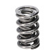 Componente motor Manley Valve Spring 1440 POLISHED | race-shop.ro