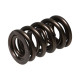 Componente motor Manley Valve Spring 1.580 DOUBLE | race-shop.ro
