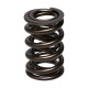 Componente motor Manley Valve Spring 1.580 DOUBLE | race-shop.ro