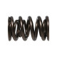 Componente motor Manley Valve Spring 1.580 DOUBLE | race-shop.ro
