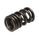 Componente motor Manley Valve Spring HONDA F20C/F22C | race-shop.ro