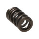Componente motor Manley Valve Spring HONDA F20C/F22C | race-shop.ro