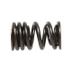 Componente motor Manley Valve Spring HONDA F20C/F22C | race-shop.ro
