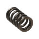 Componente motor Manley Valve Spring NISSAN SR20DE/SR20DET | race-shop.ro