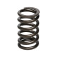 Componente motor Manley Valve Spring NISSAN SR20DE/SR20DET | race-shop.ro