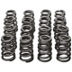 Componente motor Manley Valve Spring/Retainer Kit Subaru WRX/STI | race-shop.ro