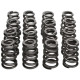 Componente motor Manley Valve Spring/Retainer Kit Subaru WRX/STI | race-shop.ro