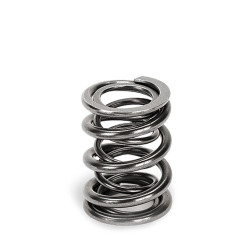 SUPERTECH Valve Spring Set Mini R53 / Toy 2RZ/3RZ / Opel LSJ