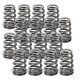 Componente motor SUPERTECH Valve Spring Set Nissan VQ37 | race-shop.ro
