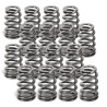 SUPERTECH Valve Spring Set Nissan VQ37