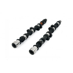 Piper Camshaft Peugeot/Citroen 2.0L 16v XU10J4RS Race