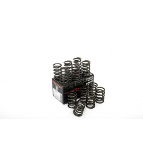 Componente motor Piper Single Valve Springs Ford 3.0L V6 Essex | race-shop.ro