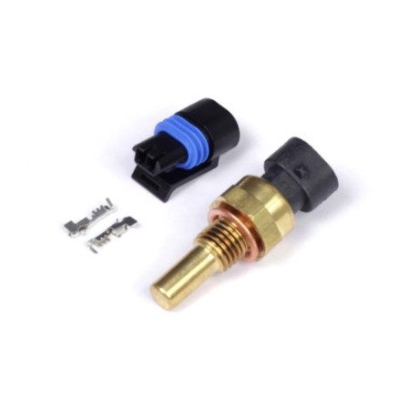 Motec Haltech Coolant Temp Sensor - Small Thread M12 x 1.5 | race-shop.ro