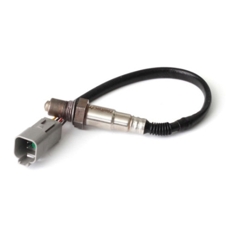 Motec Haltech Wideband O2 Sensor only - Bosch LSU 4.2 | race-shop.ro