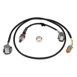 Haltech NTK Wideband hardware pack