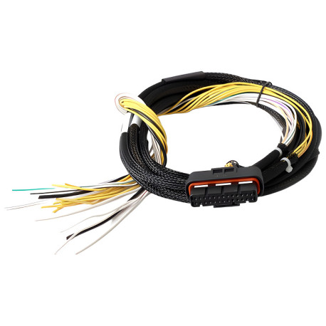 Haltech Haltech HPI8 - High Power Igniter - 2m Flying Lead Loom Only | race-shop.ro