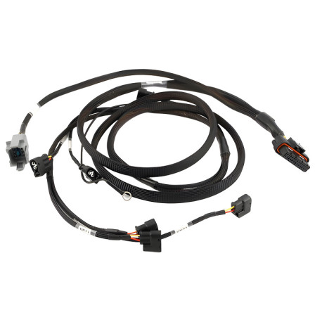 Haltech Haltech Elite 2000/2500 Toy 2JZ Term HPI6 Ignition Harn only | race-shop.ro