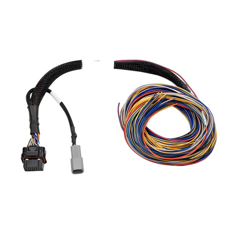 Haltech Haltech Elite PRO Direct Plug-in Auxiliary Flying Lead Harn | race-shop.ro