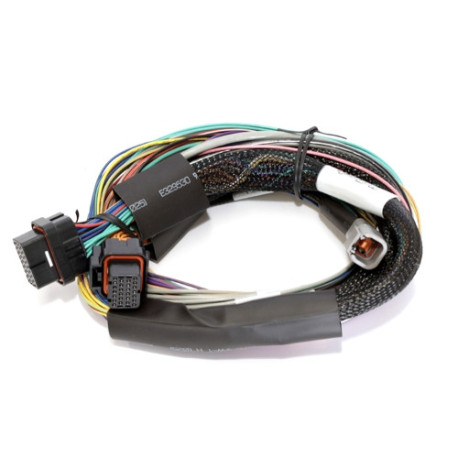 Haltech Haltech Elite 2500 - 2.5m (8 ft) Basic Uni Wire-in Harn Only | race-shop.ro