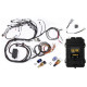 Motec Haltech RB Twin CAM Elite 2500 ECU, Main Harn, CAS Breakout, | race-shop.ro