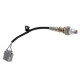 Haltech Haltech WB1 NTK Single Chan CAN O2 Wideband Controller Kit | race-shop.ro