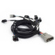Haltech Haltech Nexus Rebel LS - Multec 2 Injector Sub Harness | race-shop.ro